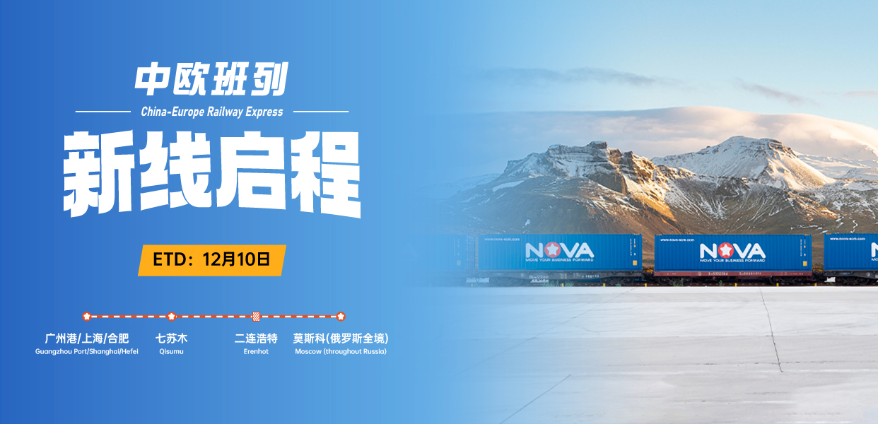 1731664333364848.jpg 七蘇木-官網_畫板 1(1).jpg